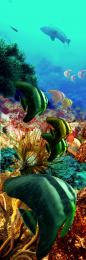 Underwater Discoveries